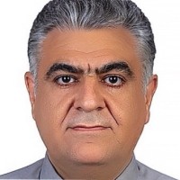 Mohammadreza Radpey
