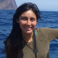 Macarena Maldonado Araya