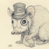 A mouse