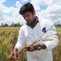 Sridhar Bhavani
