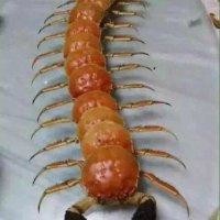 项海云