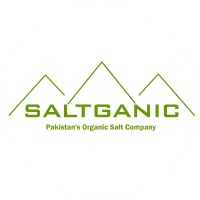 Muhammad Raffey Khan