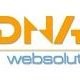 Dna Websolution