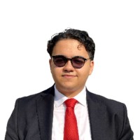 Ali Elbanna