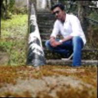 Rahul M