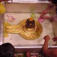 Amit Paul
