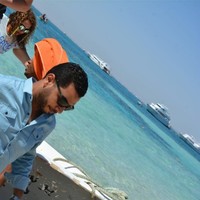 Amr Elkhateb