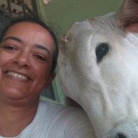 Yolanda Vasconcellos