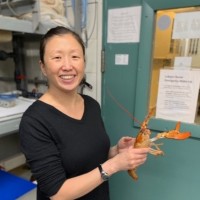 Anita Kim