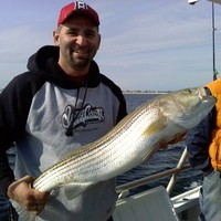 Green Bay