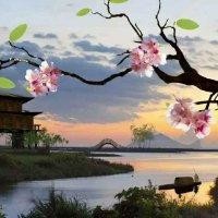 王平社