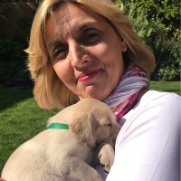 Claire Sorrell