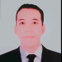 Ahmed Abdalla Megaly