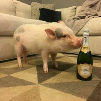 蒋志聪