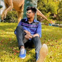 Vignesh S