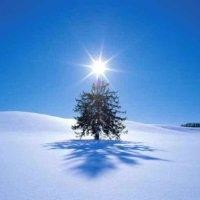 戴雪松