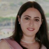 Diaa Sarieddine