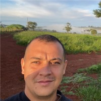 Luis-Lu Henrique