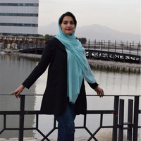 Arezoo Soltani