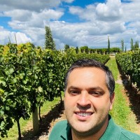 Fábio Góes (Enólogo)
