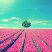 Summer Mi