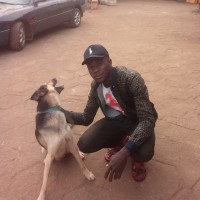 Chima Daniel
