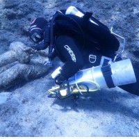 Eduardo Roa Brynildsen