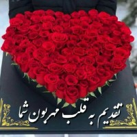 Jamal Torabi
