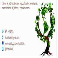 Arq. Fernando Valdez