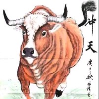 shan Da