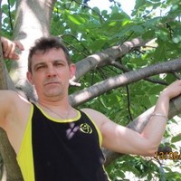 Mircea Colceriu