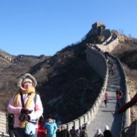 Crane Wang(王丹）