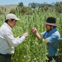 Juan Victor Flores Martinez