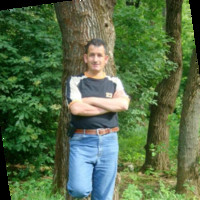 Omar Amareen