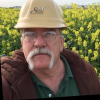 Bob White