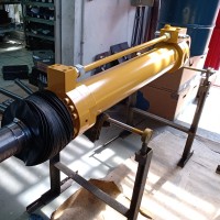 Luís Carlos Winter Winter