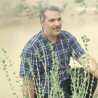 Ali Firouzi