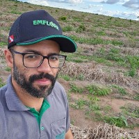 José de Assis Martins Júnior