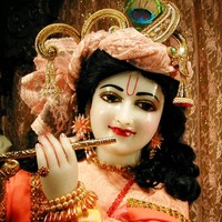 Vinothkumar Vinothkumar