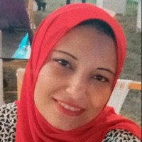 Noha Hassan
