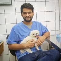 Arpit Kaushal
