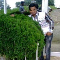 Mohammad Imran