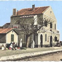 MOHAMMED TAHAR TEBBOUNE