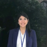 Sümeyye Nurdan Tokluoğlu