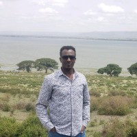 Ibsa Hussein