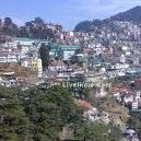 Shimla packages