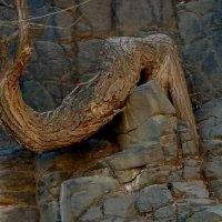 邢剑飞