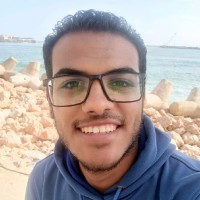 Osama Boghdady