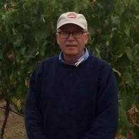 Robin Haybarger