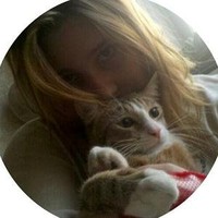 Elies Steenstra